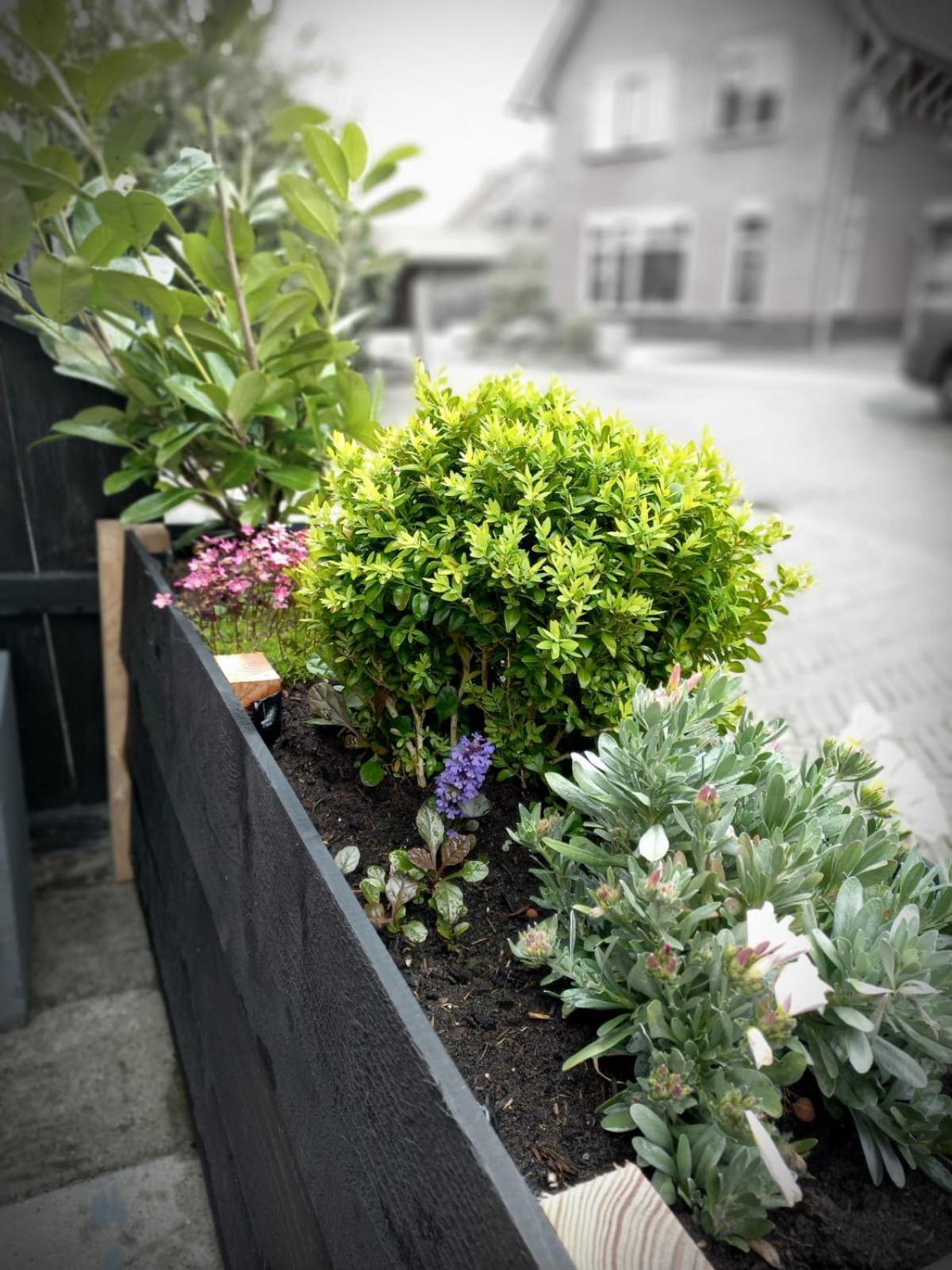 Bed & Breakfast De Schans Makkum Exterior foto